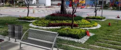 Bench and trash containers