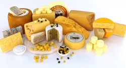 Cheese platter 3D model