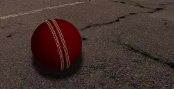 Cricket Ball