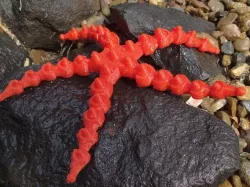 Customizable Starfish
