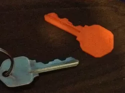 Duplicate Key