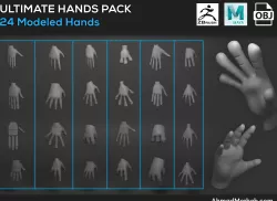 Hands Assets 3D model