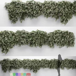 Hanging Plant - ChoisyaTernata - 7 Modular Pieces 3D model