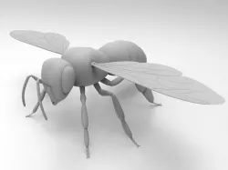 Honey Bee 3D model