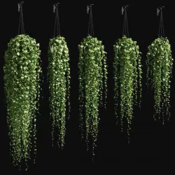 Ivy in a pot on the chain v3 3D model