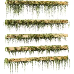 Leaves for beams v2 - 5 models 3D model