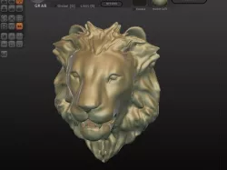 Lion Head