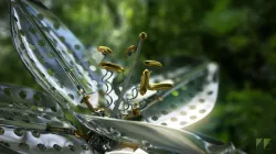 Mechanical Flower 3D model