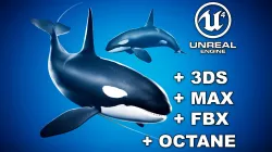 Orca Killer Whale - Animated - Octane Support Low-poly  3D model