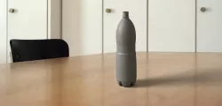pepsi bottle