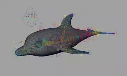 Rig Dolphin Low-poly  3D model