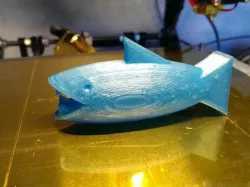 Shark