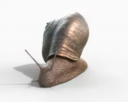 snail 3D model