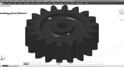 Spur Gear
