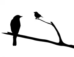 2D 2 Birds