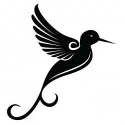 2D Bird