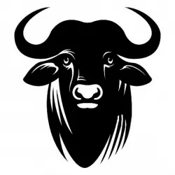 2D Bull head