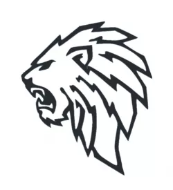 2D Lion head