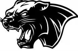2D Panther head
