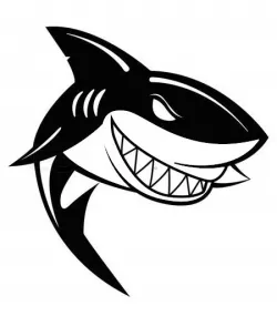 2D Shark