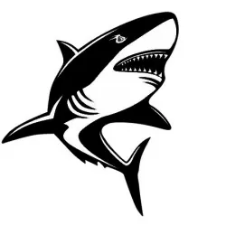2D Shark