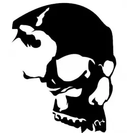 2D Skull thing