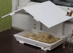 Bird Feeder 
