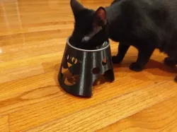 Cat Food Bowl Riser For Elderly Cat (or... any age)