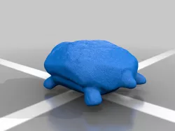 Chubby turtle 