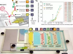 COVID-19 antibody test: Microfluidic Chain Reaction of Structurally Programmed Capillary Flow Events