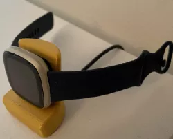Fitbit Versa 2 stand
