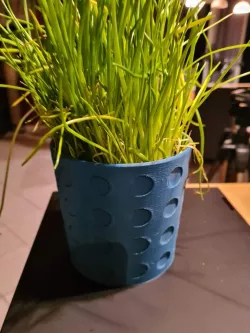 Hole Vase