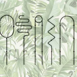 Plant Trellis