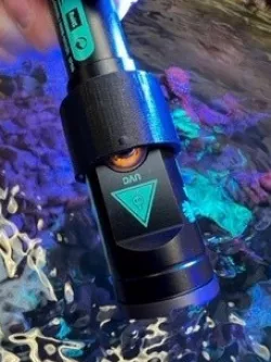 Reef Delete Cruise Control