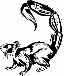 Scorpion Squirrel stencil