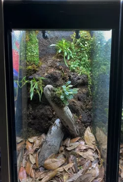 Sully's 10 Gallon Aquarium to Vertical Terrarium Conversion Kit