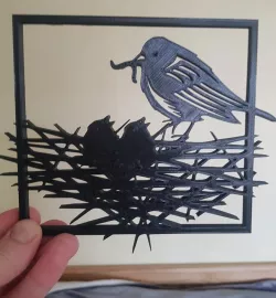 2D Bird nest