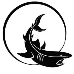 2D Shark in water