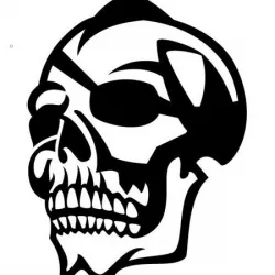 2D Skull