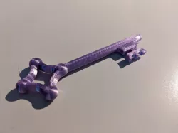 Attack On Titan Basement Key