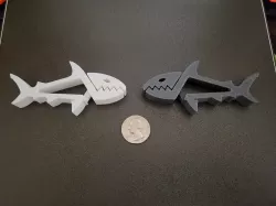 Big Bite Shark
