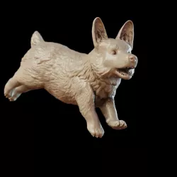 Corgi - leaping