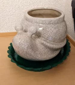 Leafy Planter Plate