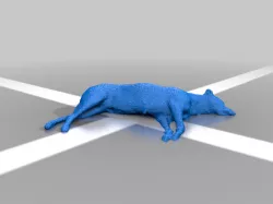 Sleeping Dog