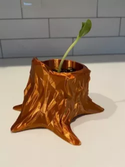 Stump Planter with Drainage Tray