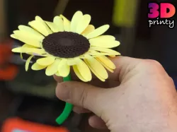 Sunflower (Print Flat)