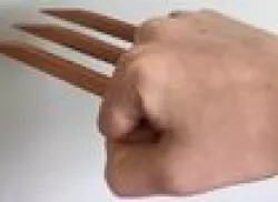 Wolverine Claws