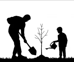 2D Father and son planting tree 