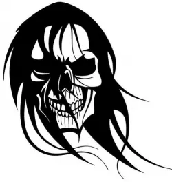 2D Long hair skull