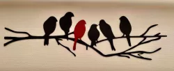 Birds